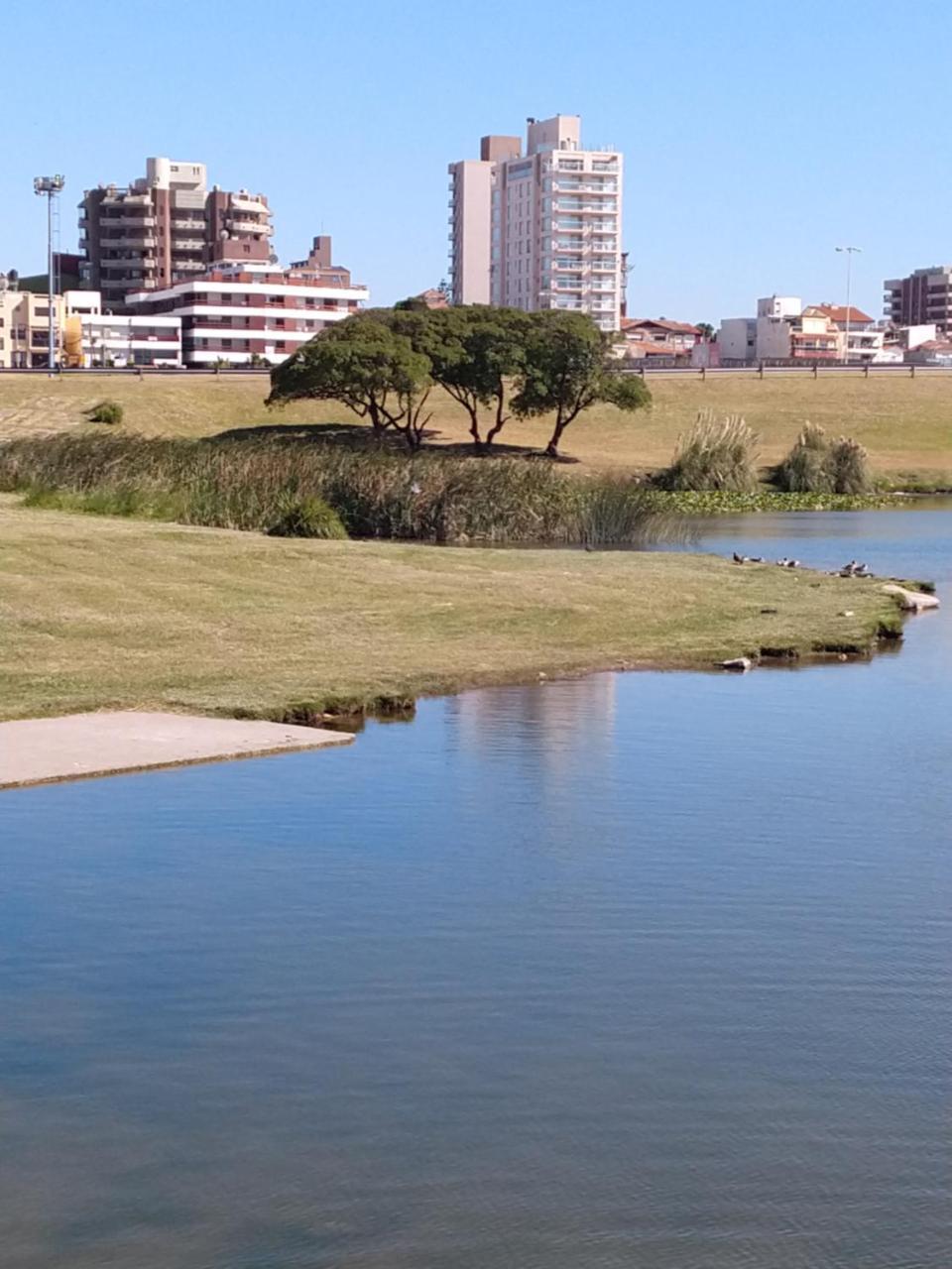 Edificio Juana Del Mar Apartment Mar del Plata Exterior photo